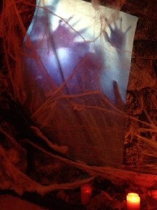 IMG_2082a
